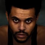 artist image The Weeknd, Playboi Carti Timeless [Sylphera Remix] 