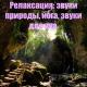 Природа - Звук леса после дождя