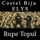 Costel Biju feat. Elys - Rupe Topul