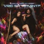 album image Vrei Sa Te Mint Vrei să te mint? - Single