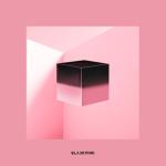 album image 뚜두뚜두 (DDU-DU DDU-DU) SQUARE UP - EP