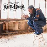 poster Turn in Up (Remix) Fire it Up The Best of Busta Rhymes