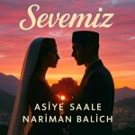 poster Sevemiz Sevemiz